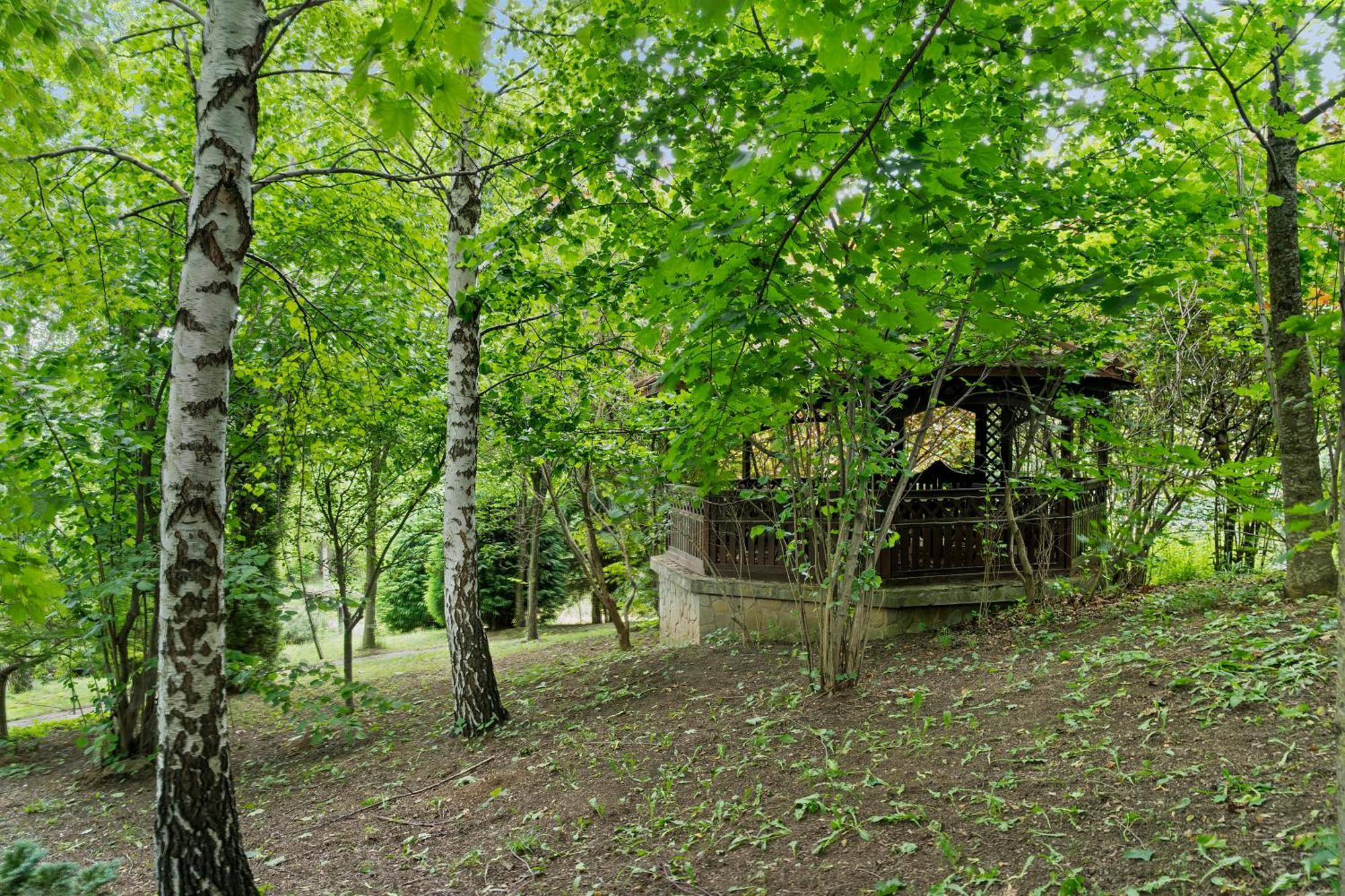 Wine Cellar Villa With Beautiful Garden In Sinaia - Busteni Poiana Tapului Exterior foto