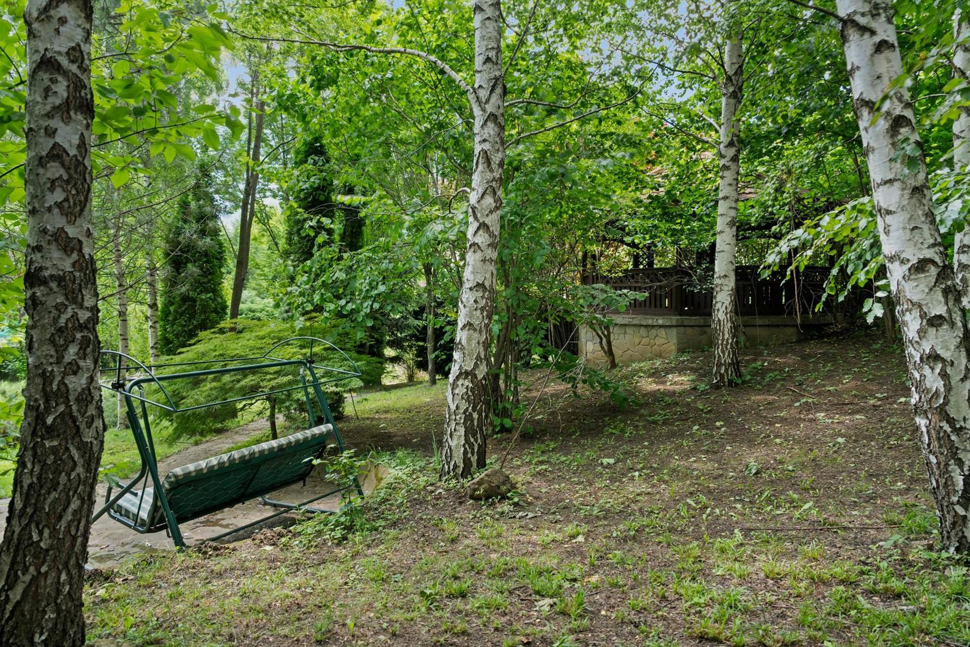 Wine Cellar Villa With Beautiful Garden In Sinaia - Busteni Poiana Tapului Exterior foto